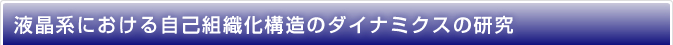 電子コースの概要