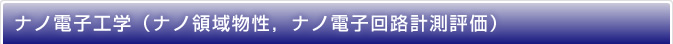ナノ電子工学(ナノ領域物性,ナノ電子回路計測評価)